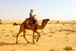 séjour de pêche en Mauritanie - pêche sportive en Mauritanie - pêche en Surf-casting