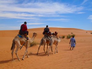 séjour de pêche en Mauritanie - pêche sportive en Mauritanie - pêche en Surf-casting